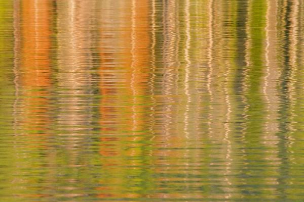USA, Idaho Reflections on Redfish Lake